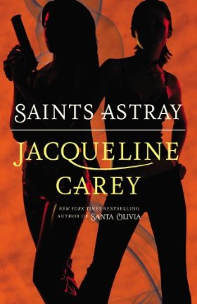 http://www.fantasybookcafe.com/wp-content/uploads/2011/11/SaintsAstray.jpg