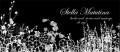 Stella Matutina Header
