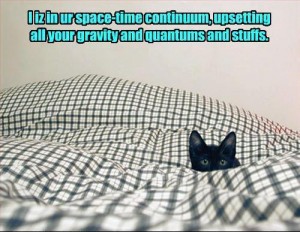 Quantum Cat