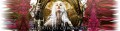 Outcast Chronicles Banner