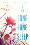 A Long Long Sleep