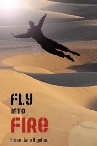 Fly Into Fire by Susan Jane Bigelow
