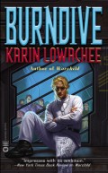Burndive by Karin Lowachee